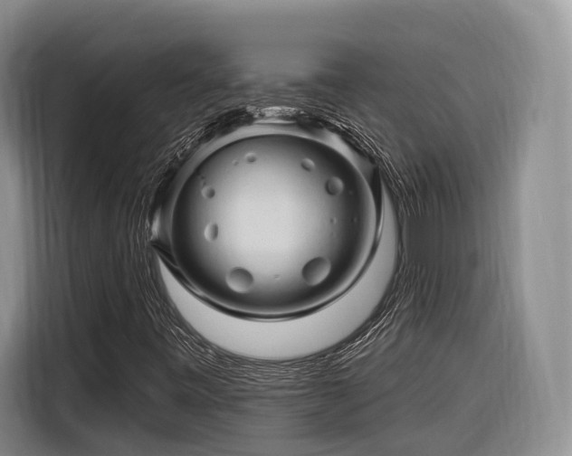 X0000116281443200912071141