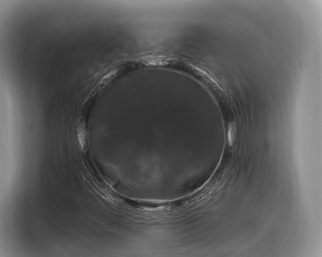 X0000116281444200912071141
