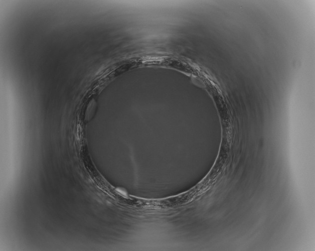 X0000116281445200912071141