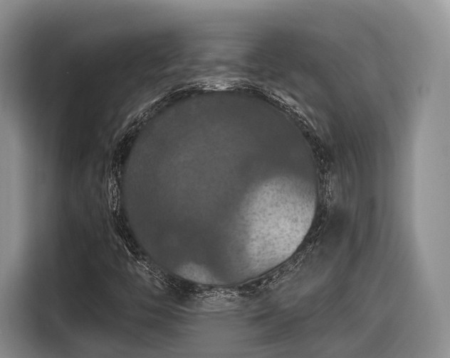 X0000116281446200912071141