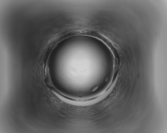 X0000116281447200912071140
