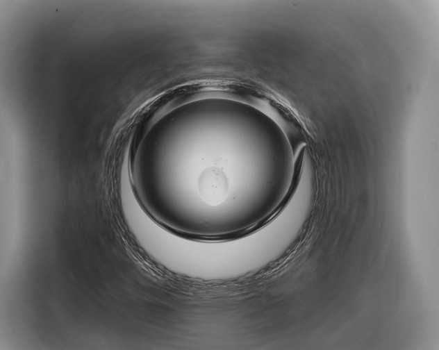 X0000116281448200912071140