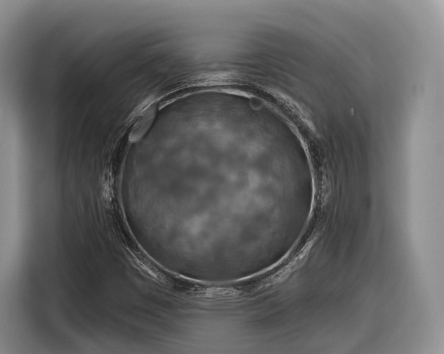 X0000116281449200912071140