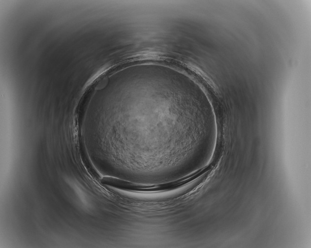 X0000116281450200912071140