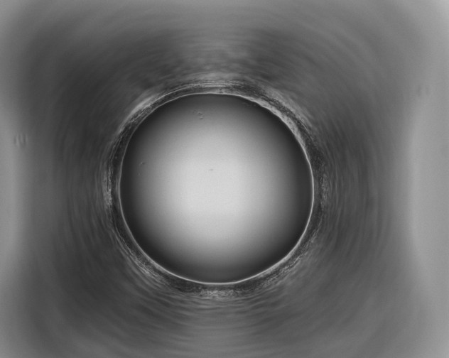 X0000116281451200912071140