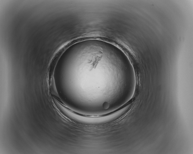X0000116281452200912071140