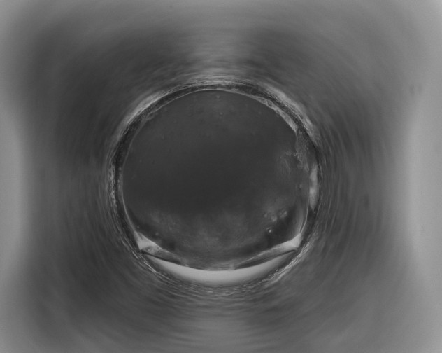 X0000116281453200912071140
