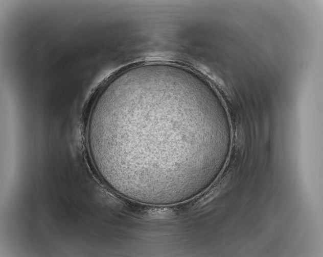 X0000116281454200912071140