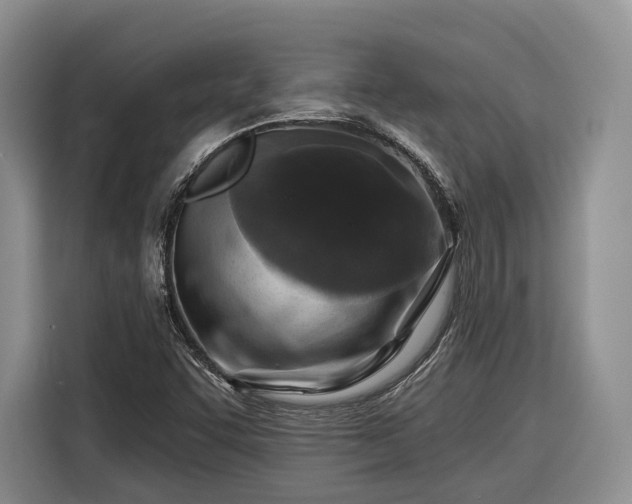X0000116281455200912071140