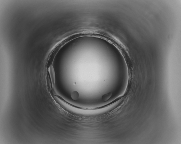X0000116281456200912071140