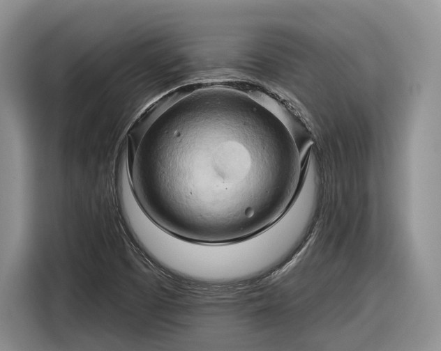 X0000116281457200912071140