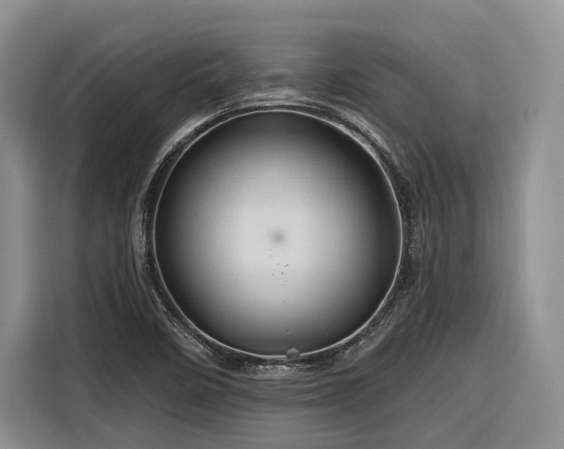 X0000116281458200912071140