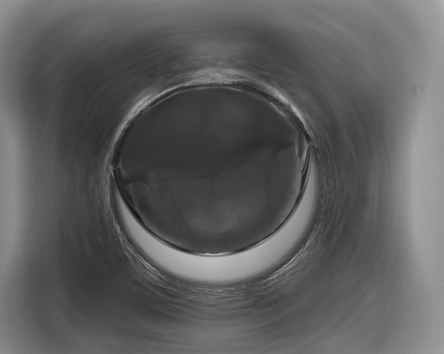 X0000116281459200912071140