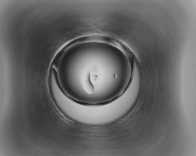 X0000116281460200912071140