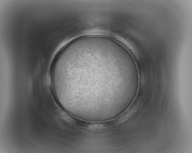 X0000116281462200912071140