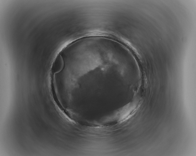 X0000116281463200912071140
