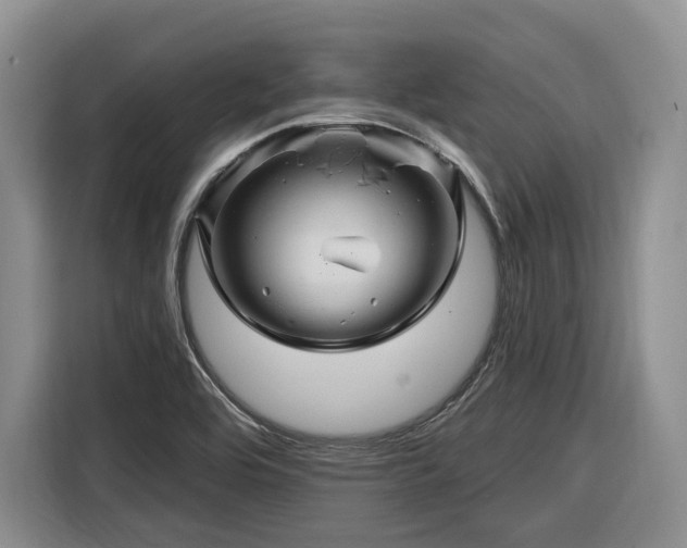 X0000116281464200912071140