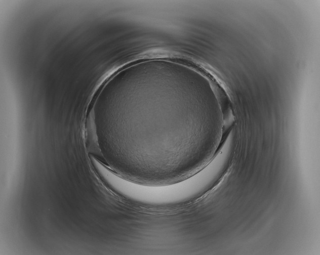 X0000116281465200912071140