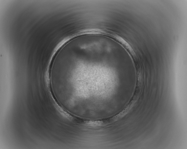 X0000116281466200912071140