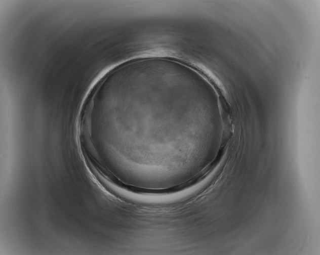 X0000116281468200912071140