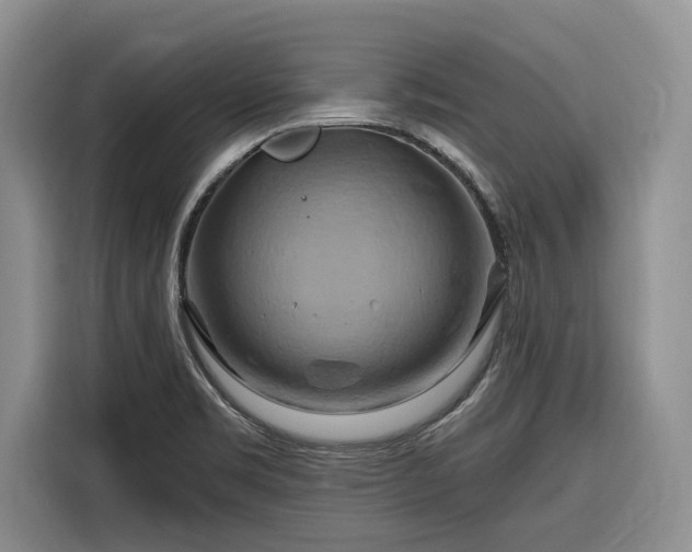 X0000116281469200912071140