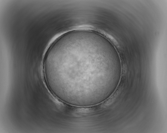 X0000116281470200912071140