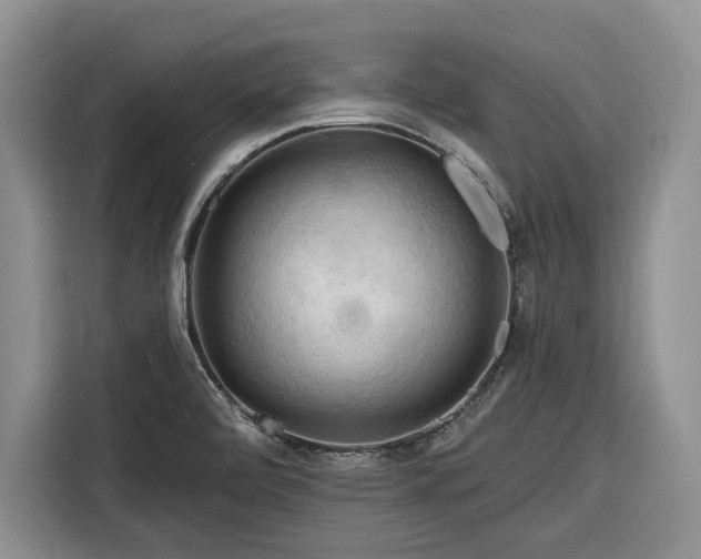 X0000116281472200912071140