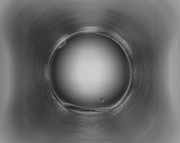 X0000116281473200912071140
