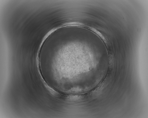 X0000116281474200912071140