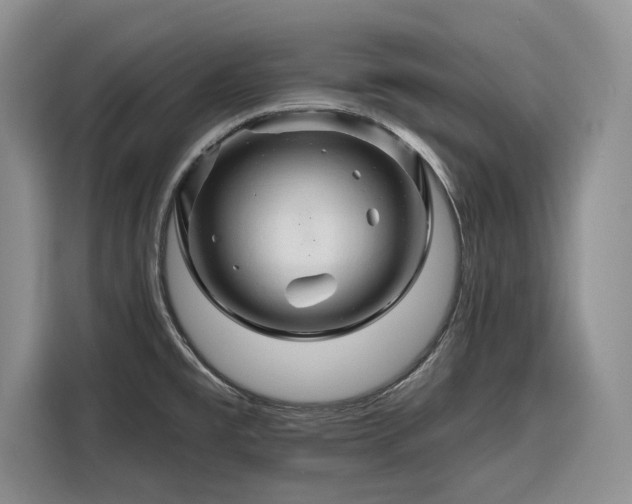 X0000116281477200912071140