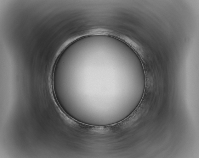 X0000116281478200912071140