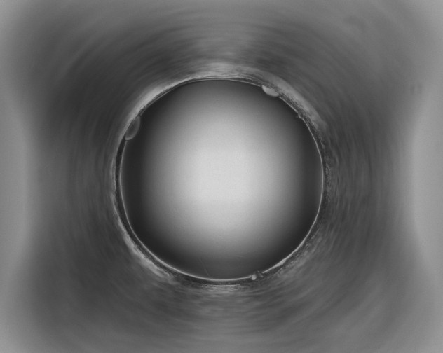 X0000116281479200912071140