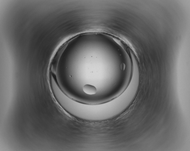 X0000116281480200912071140