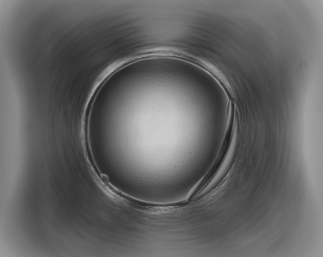 X0000116281482200912071140