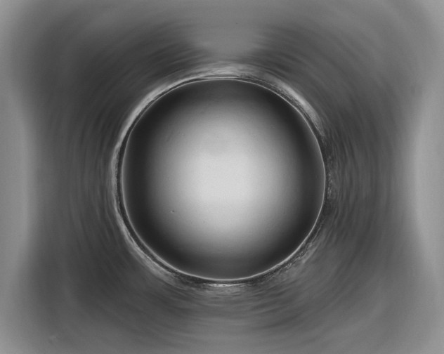 X0000116281483200912071140