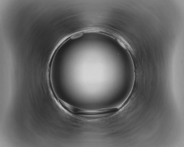 X0000116281484200912071140