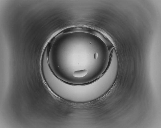 X0000116281485200912071140