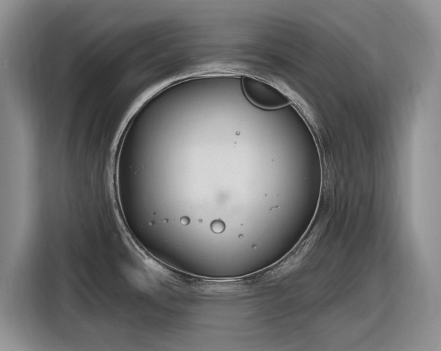 X0000116281486200912071140