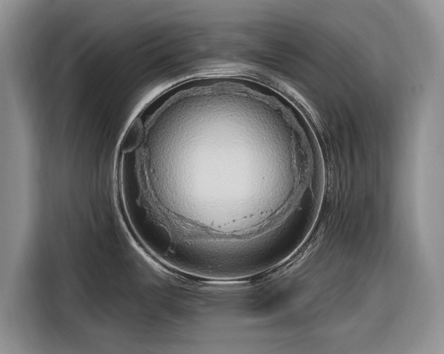 X0000116281487200912071140