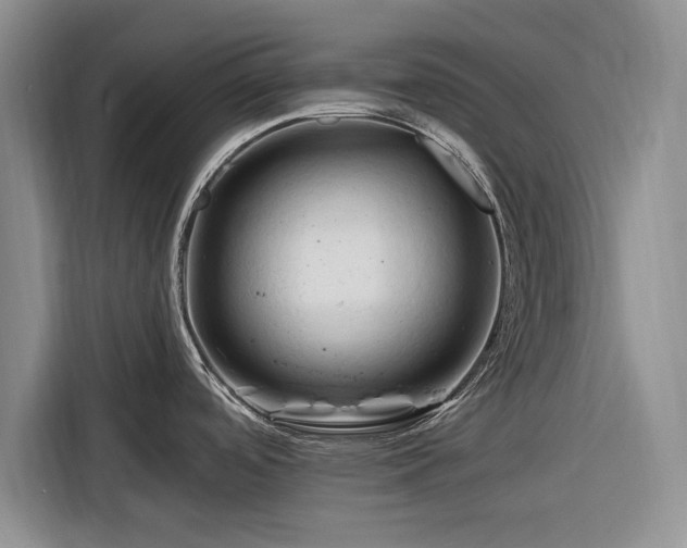 X0000116281488200912071140