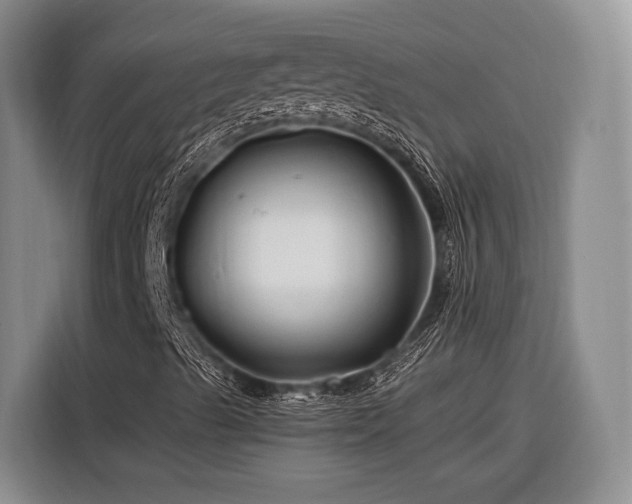 X0000116281489200912071139