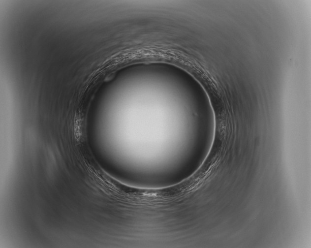 X0000116281490200912071139