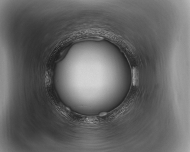 X0000116281491200912071139