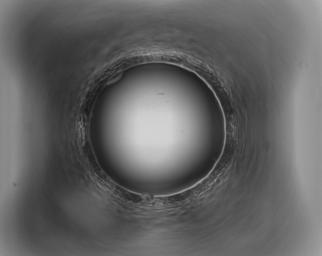 X0000116281493200912071139