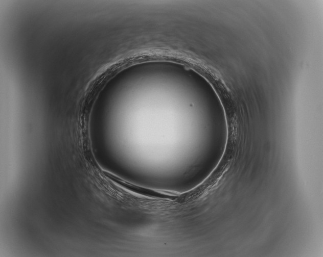 X0000116281494200912071139
