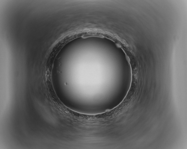 X0000116281495200912071139