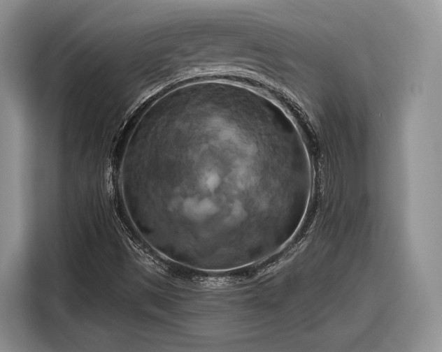 X0000116281497200912071139