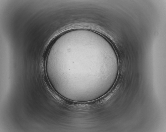 X0000116281498200912071139