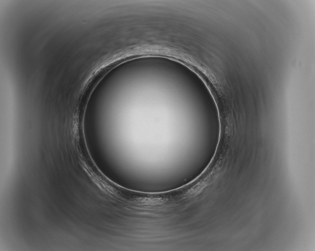 X0000116281499200912071139