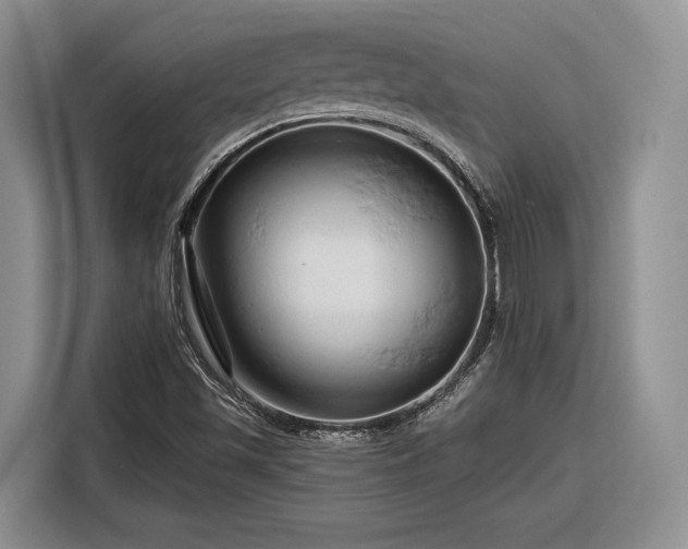 X0000116281501200912071139